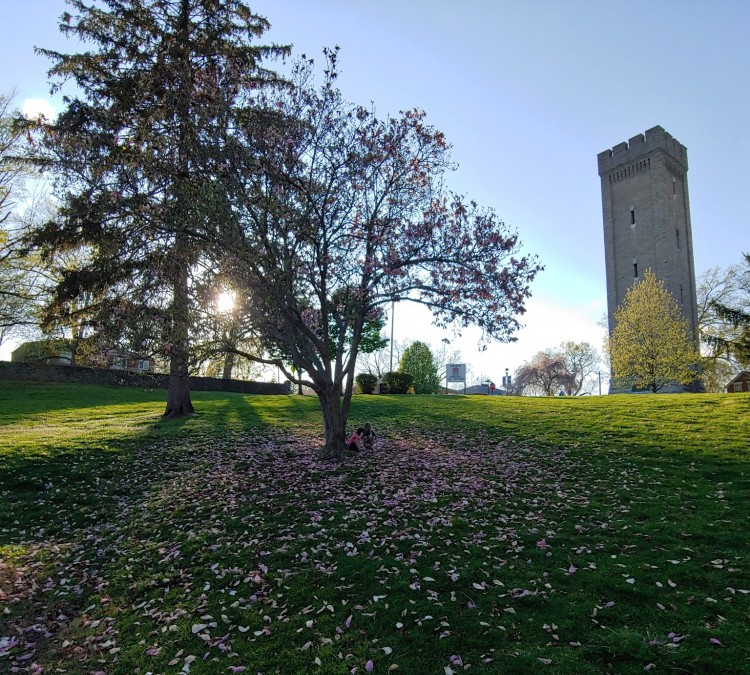 tower-park-photo